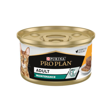 Pro Plan Adult Maintenance Frango em lata para gatos